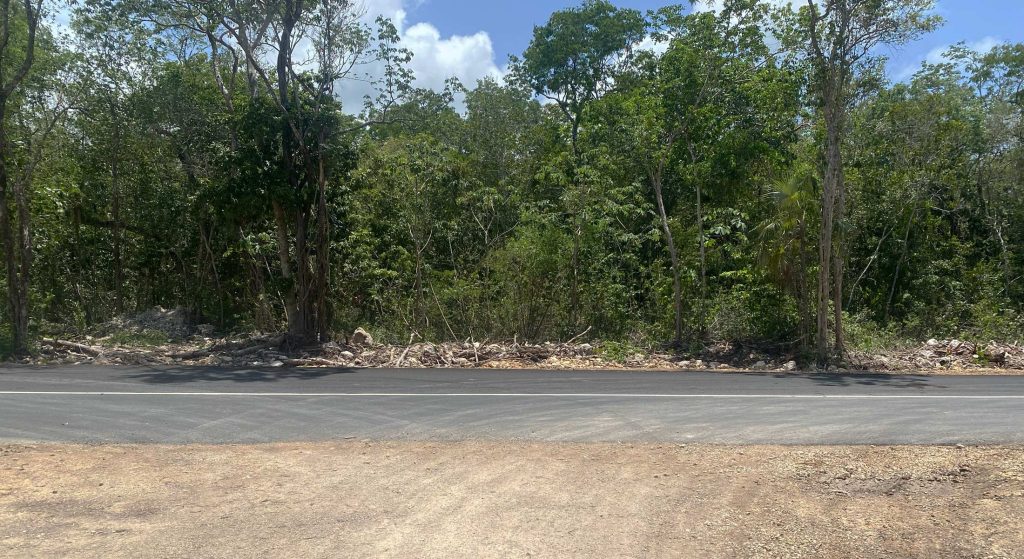 calles pavimentadas en tulum, region 15, deep veleta, terrenos en region 15